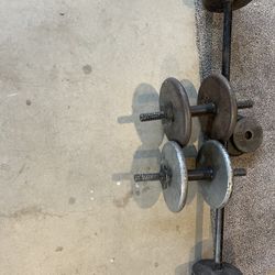 Weights 