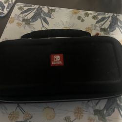 Cases Nintendo 