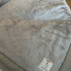 Little Giraffe Blanket