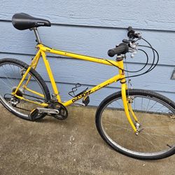 Large Diamondback Sorrento 21-speed Commuter Bike