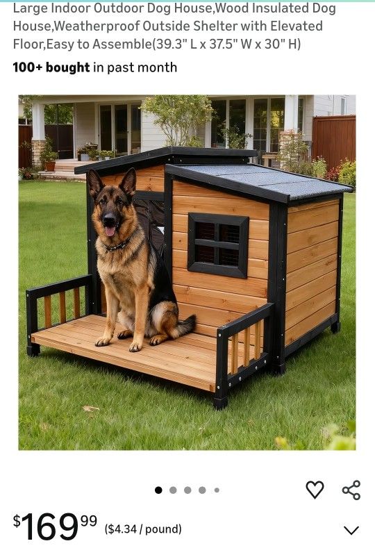 Dog House 