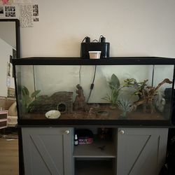 75 Gallon Tank With Stand/Accessories 