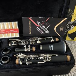 Clarinet with carry case in excellent condition.    $60