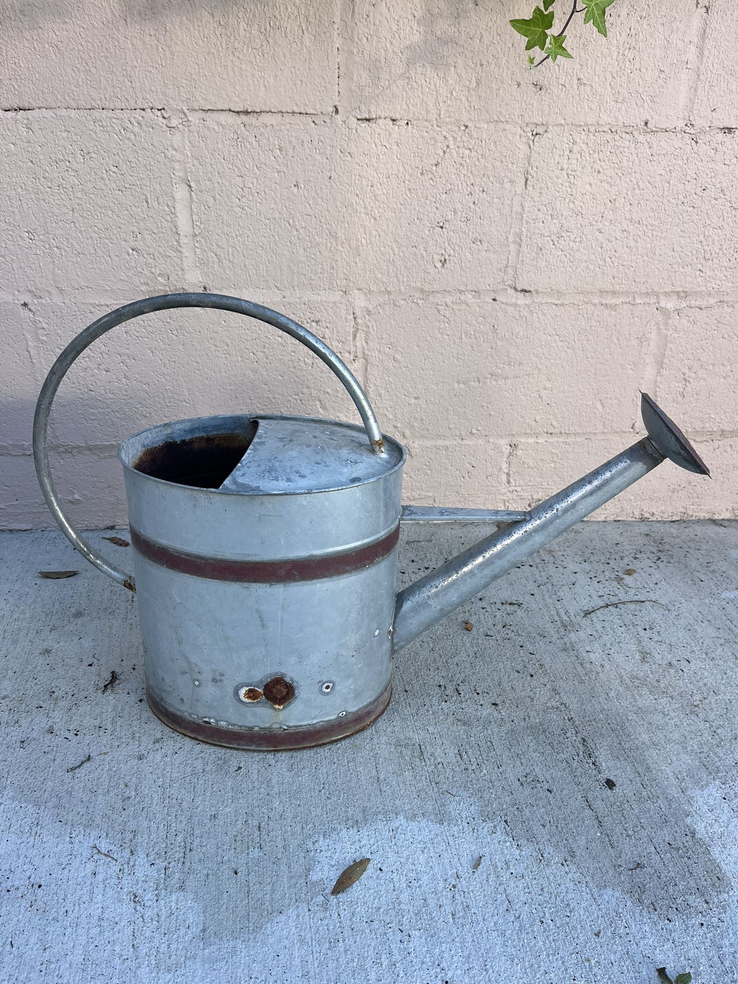 Watering Can, Flower Pot