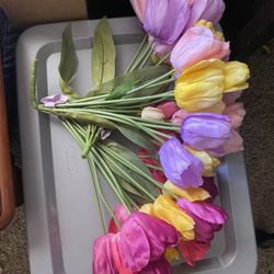 Tulips bunches 