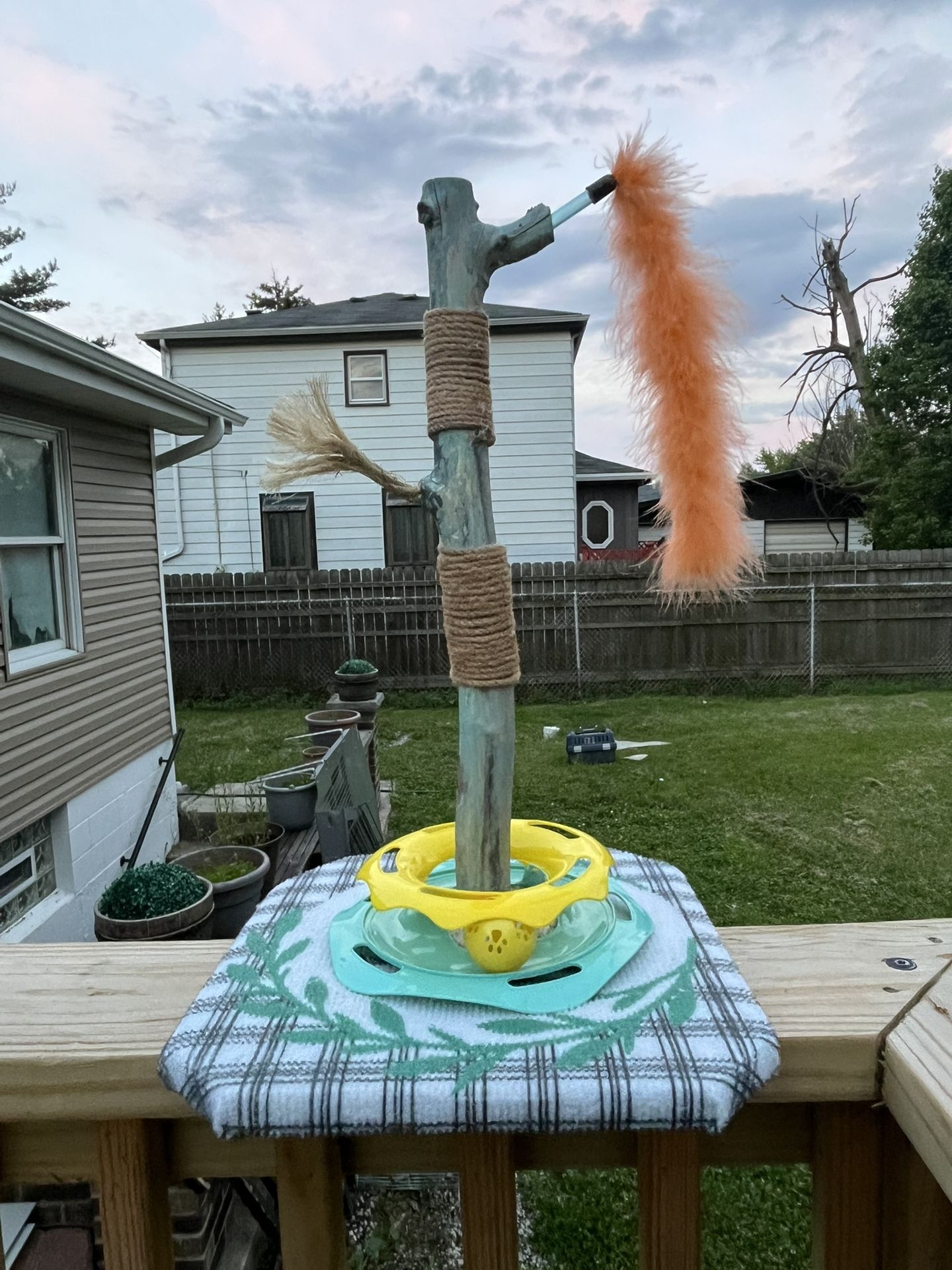 Cat Scratcher (READ DESCRIPTION)