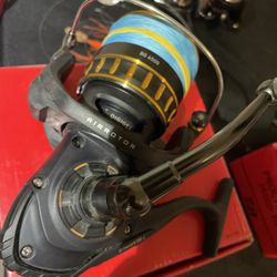 Daiwa BG 6500