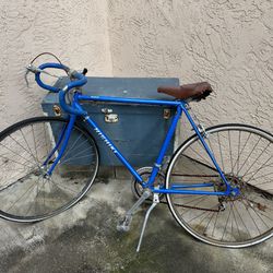Old School Nishiki Road Bike