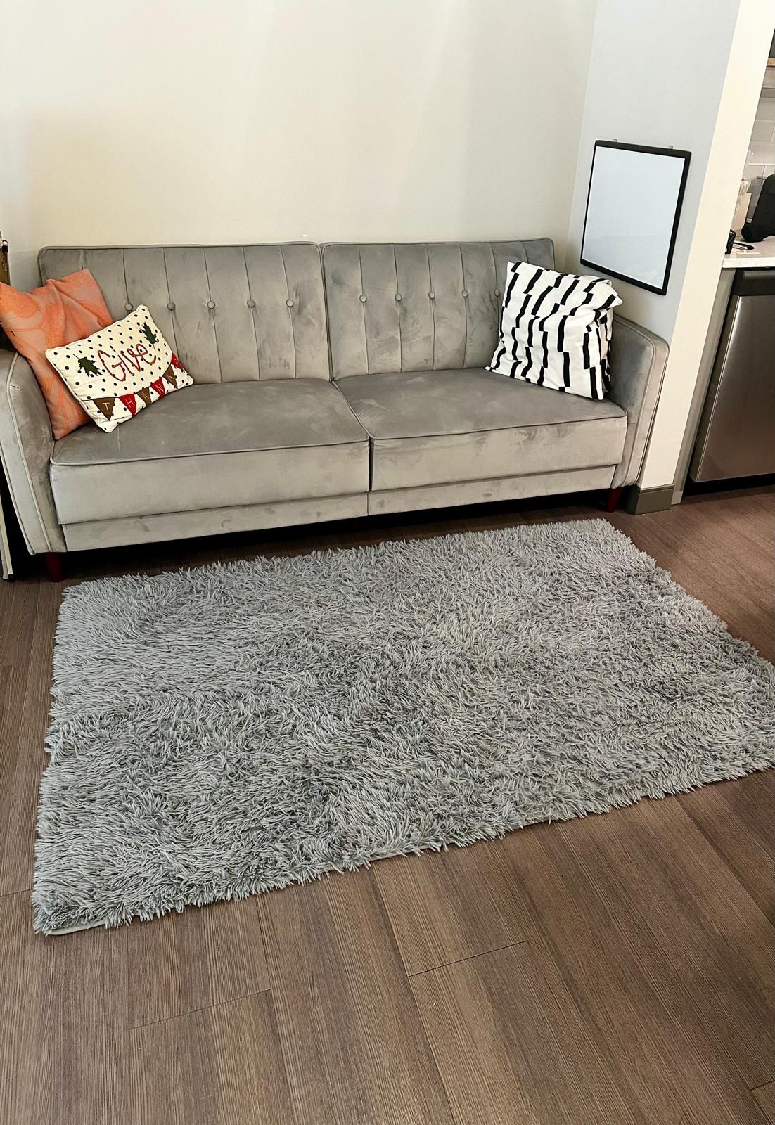 Couch + Rug