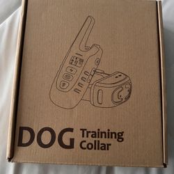 Dog Training Collar