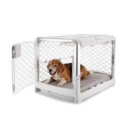 Diggs Revol Dog Crate (Collapsible Dog Crate, Portable Dog Crate, Travel Dog Crate, Dog Kennel) for Small Dogs and Puppies (Ash)