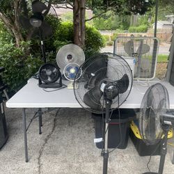 Fans Galore 