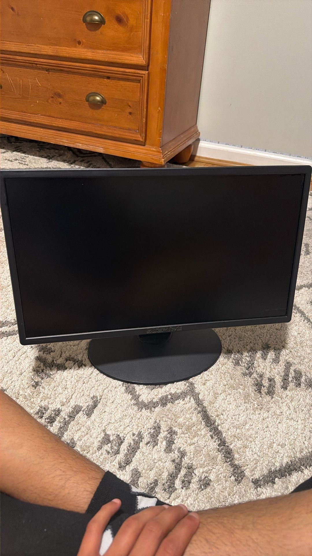 Scepture Monitor 20 Inch
