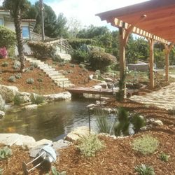 Natural Pond For Sale 10x10 And waterfals 