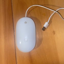 Apple Mouse