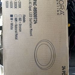 6in Led Disk Light