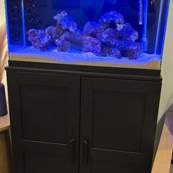 30 Galon Marine Acuarium