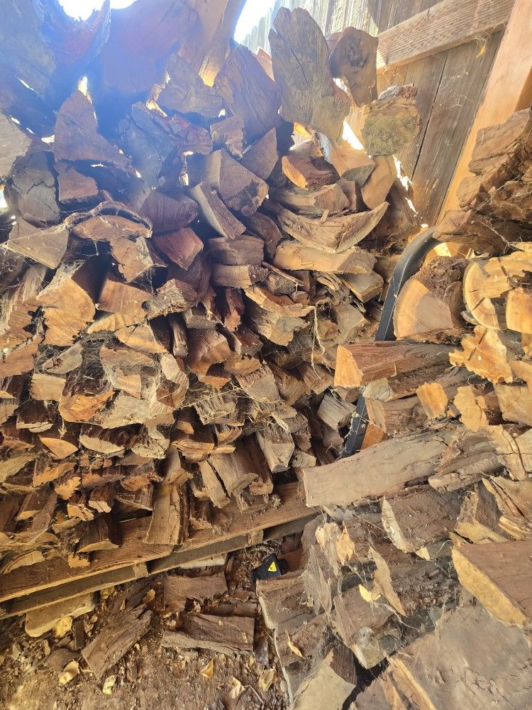 Firewood Logs