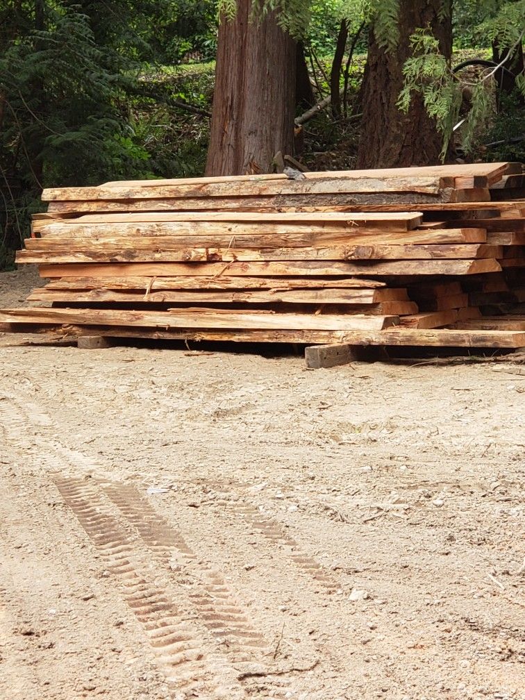 Slabs Of Milled Lumber