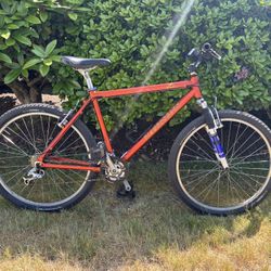 Diamondback Mountain Bike