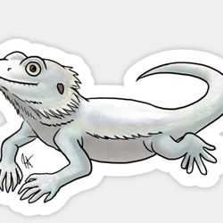 Zero Bearded Dragon Toys Send Offers