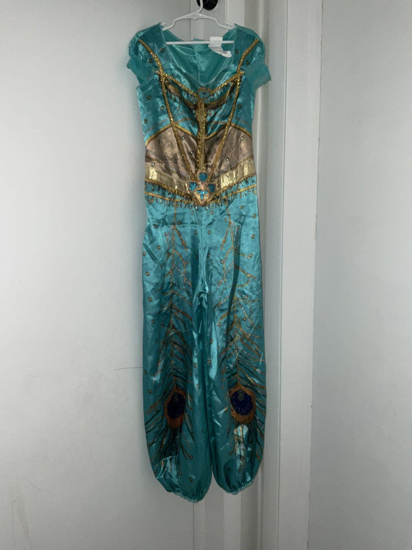 Jasmine Halloween Costume 
