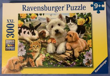 300 piece Puzzle- Contains all pieces