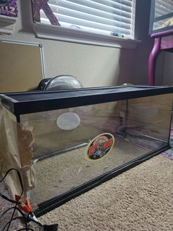 20 gallon reptile terrarium