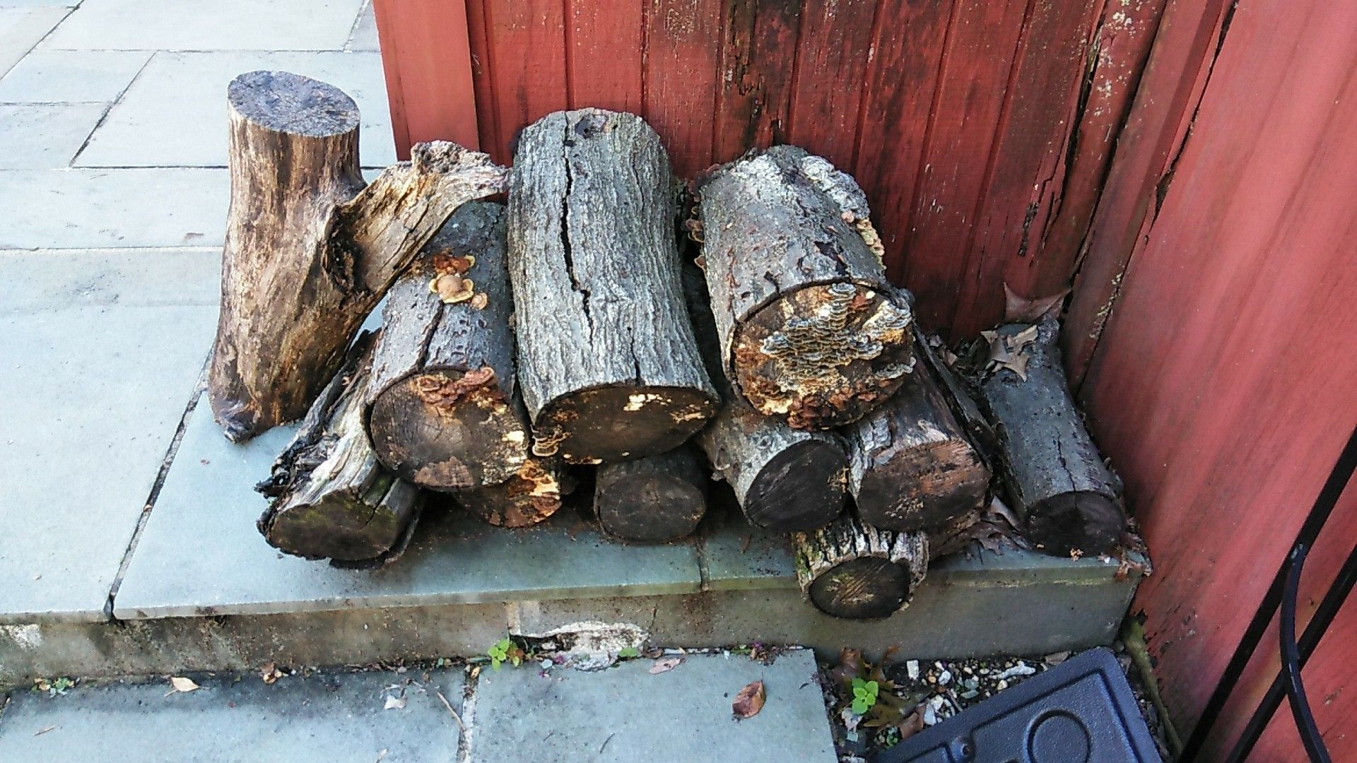 Free Seasoned Wood (Can Deliver if Near Springfield)