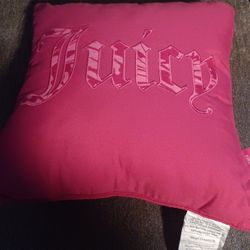 Hot Pink Juicy Pillow
