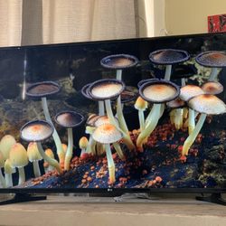 Amazing 50 Inch LG 4K Tv!