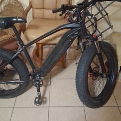 Fat Boy 1000 Watt Motor 