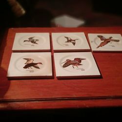 Antique Coffee Cup Coaster A Set Of 5 With Birds Design 
