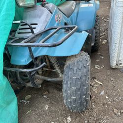 Suzuki Quad Runner