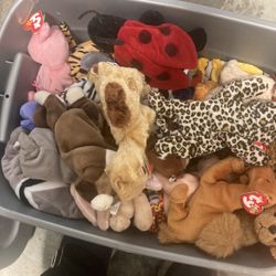 Box Full Of Original Beanie Babies 