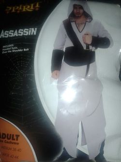 Assassin Costume