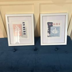 Framed Prints 