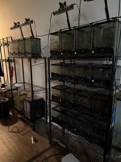 Exo Terra Nano x12 and Nano Tall x8