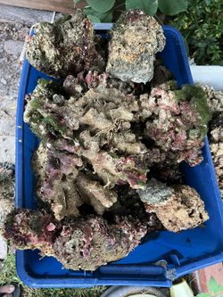 Aquarium Rocks