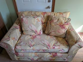 Twin sized pull out sofa