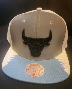 Mitchell & Ness Day 5 Bulls Snapback Hat Jordan Retro V Metallic White Blue
