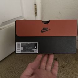 Jordan 12 Flu Game