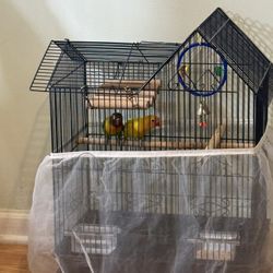 I Sell Cage 
