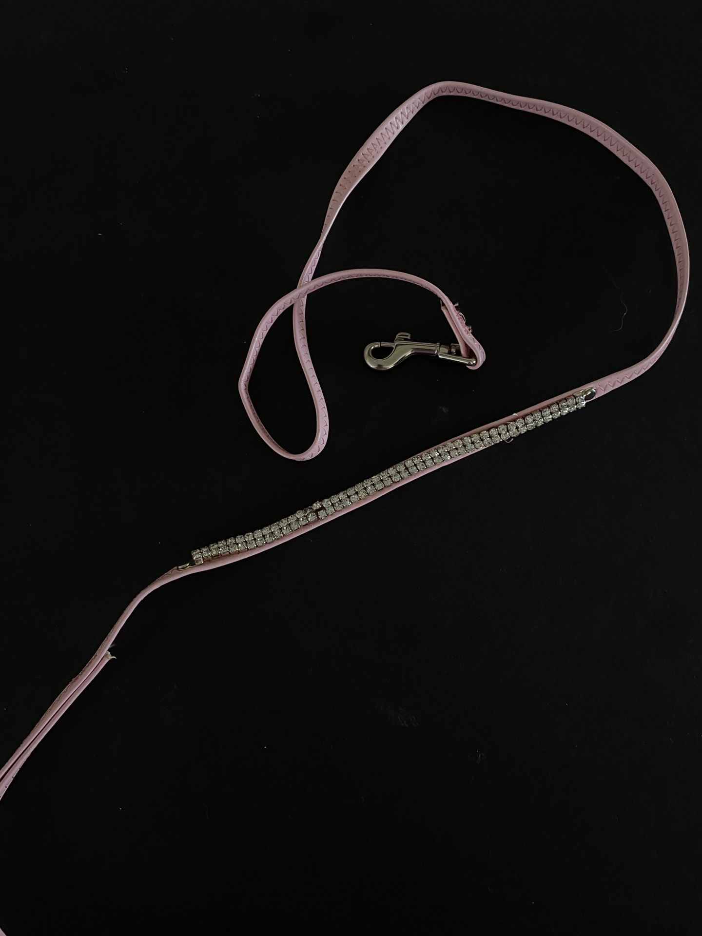 Pink Dog Leash