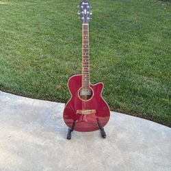 Electric Autistic Ibanez 