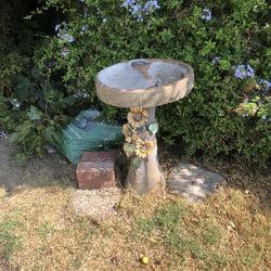 Bird Bath