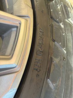 Fuels 20”