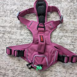 Kong Large Harness ON HOLD Until 5pm 7/8