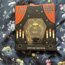 Disney Loungefly Limited Edition Pin