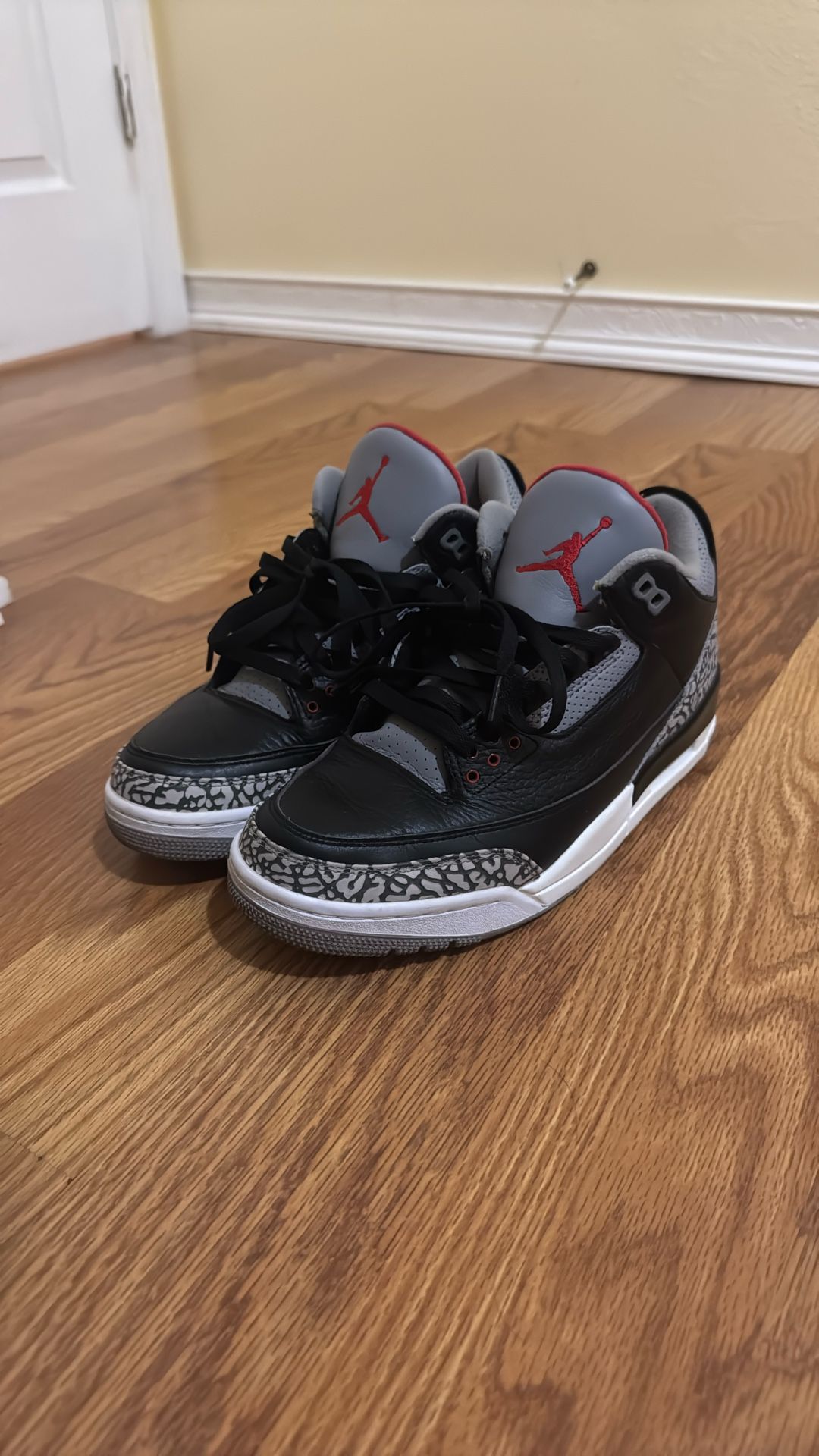 Air Jordan Black Cement 3s